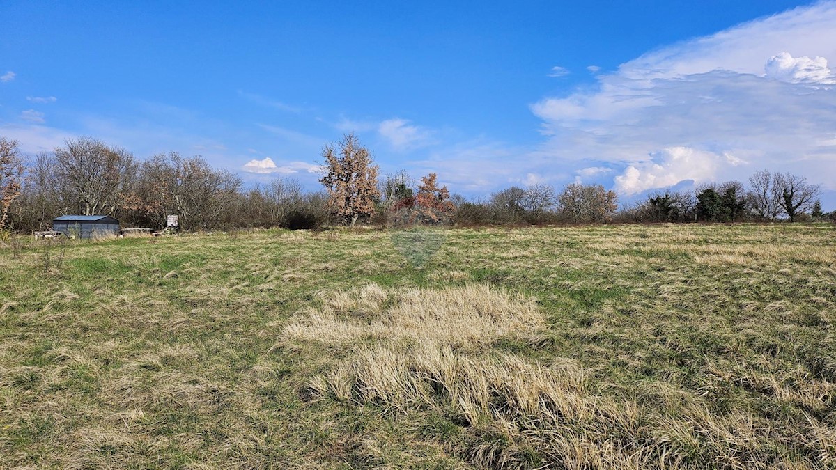 Zemljište Na prodaju - ISTARSKA UMAG