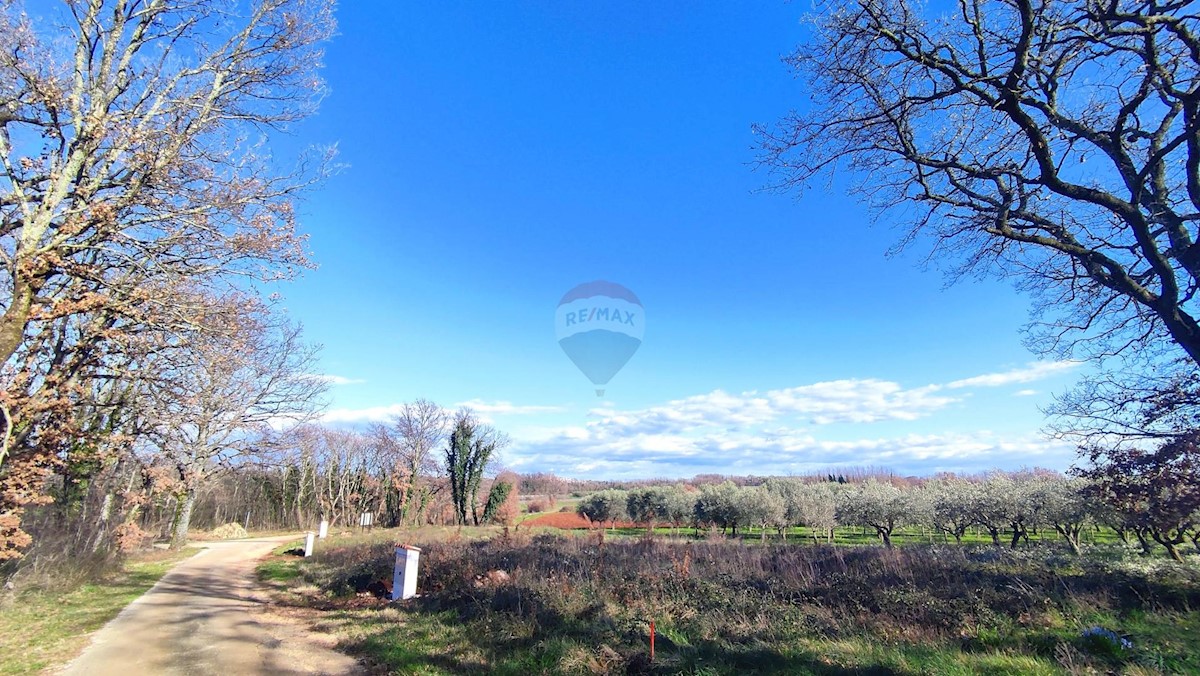 Land For sale - ISTARSKA BRTONIGLA