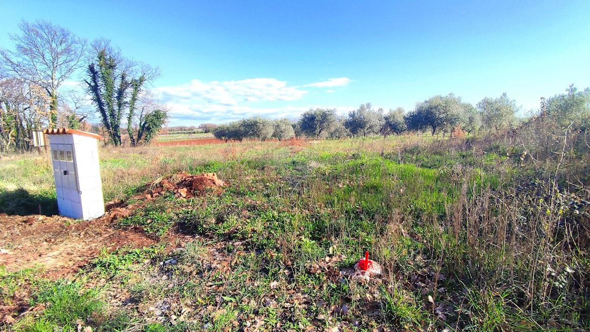 Land For sale - ISTARSKA BRTONIGLA