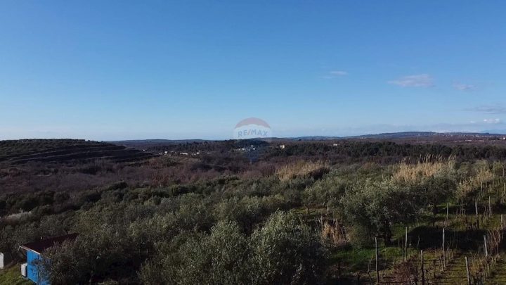 Pozemek Na prodej - Istarska Buje - foto 2/9
