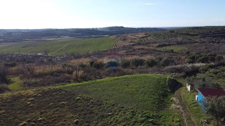 Pozemek Na prodej - Istarska Buje - foto 5/9