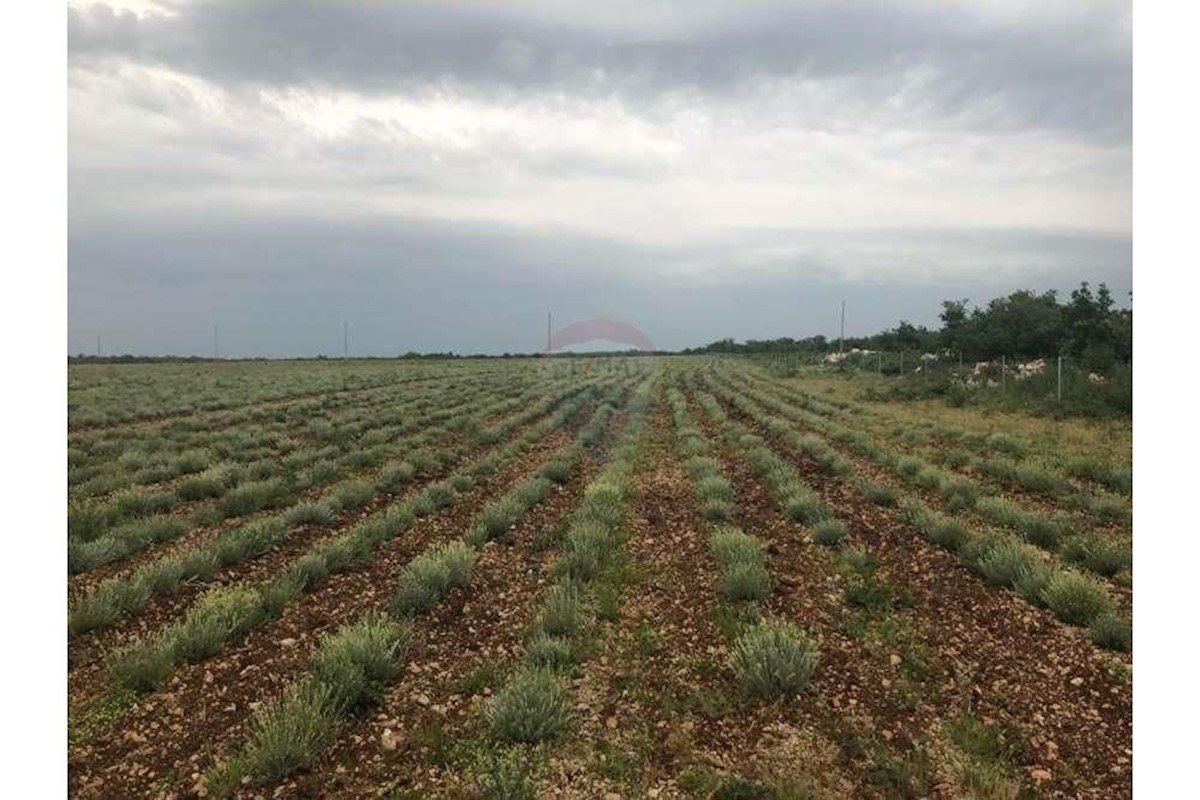 Terreno In vendita - ZADARSKA SVETI FILIP I JAKOV