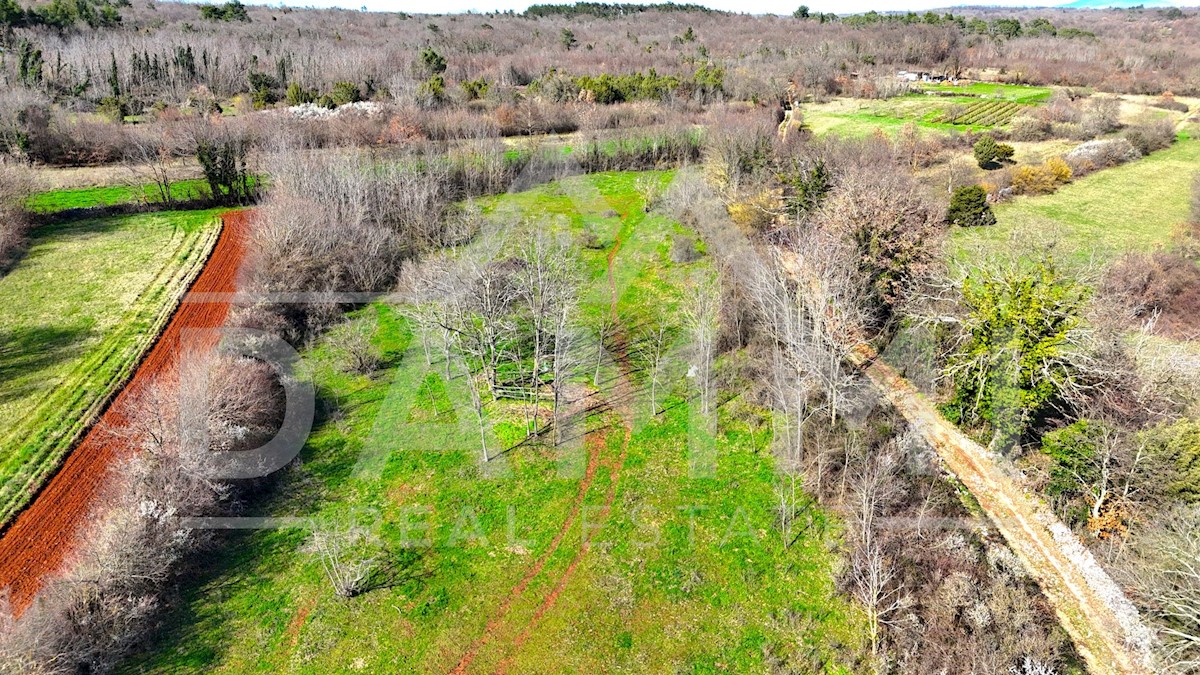 Land For sale - ISTARSKA Barban
