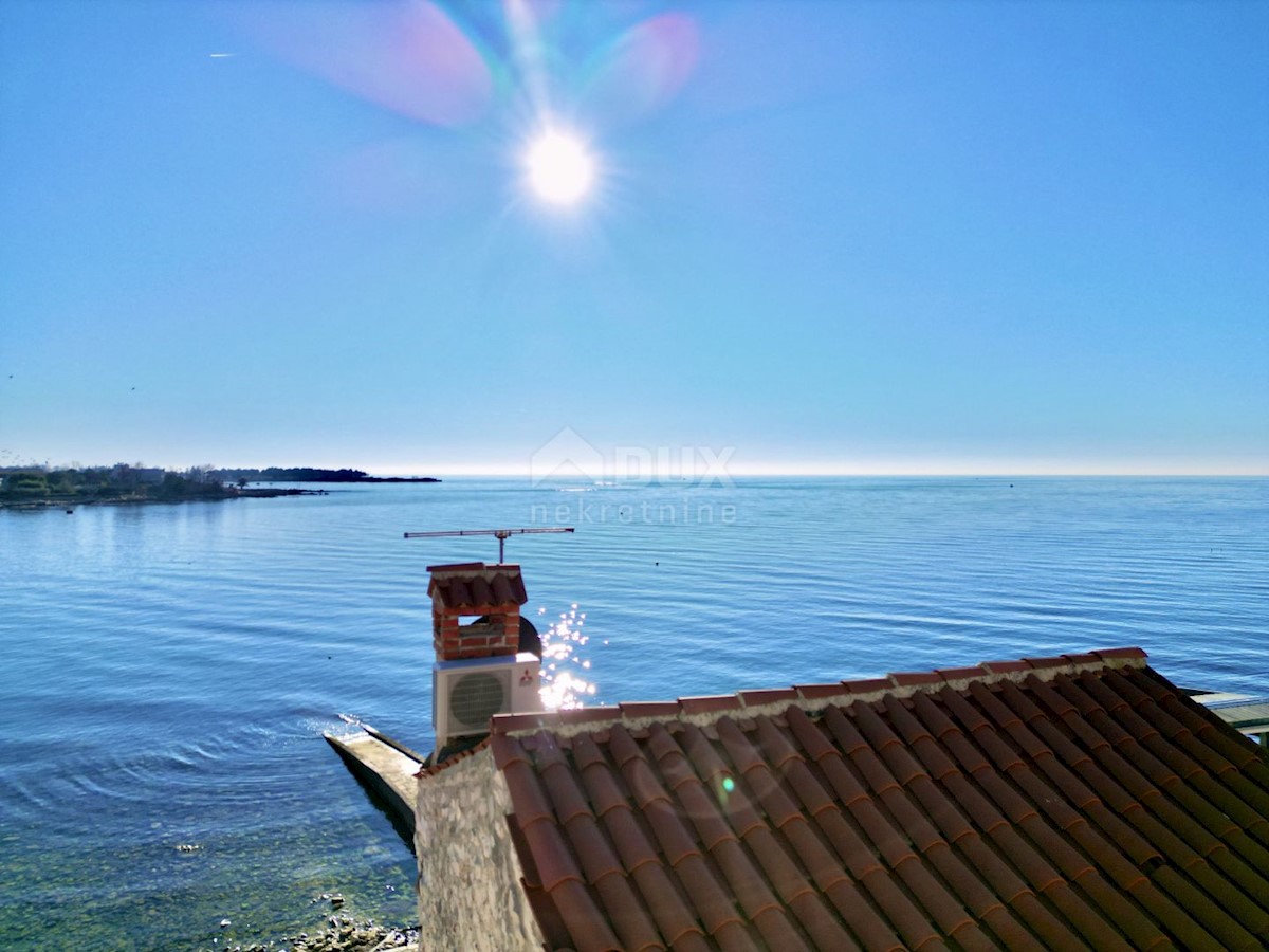 Komerční Na prodej - ISTARSKA UMAG