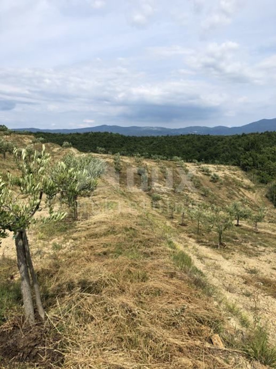 Pozemek Na prodej - ISTARSKA CEROVLJE