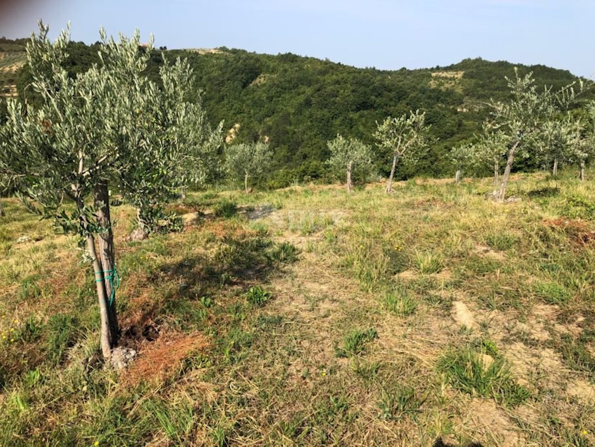 Terreno In vendita - ISTARSKA CEROVLJE