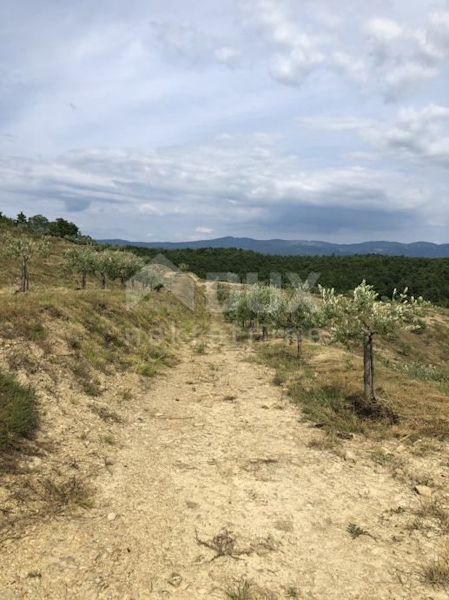 Terreno In vendita - ISTARSKA CEROVLJE