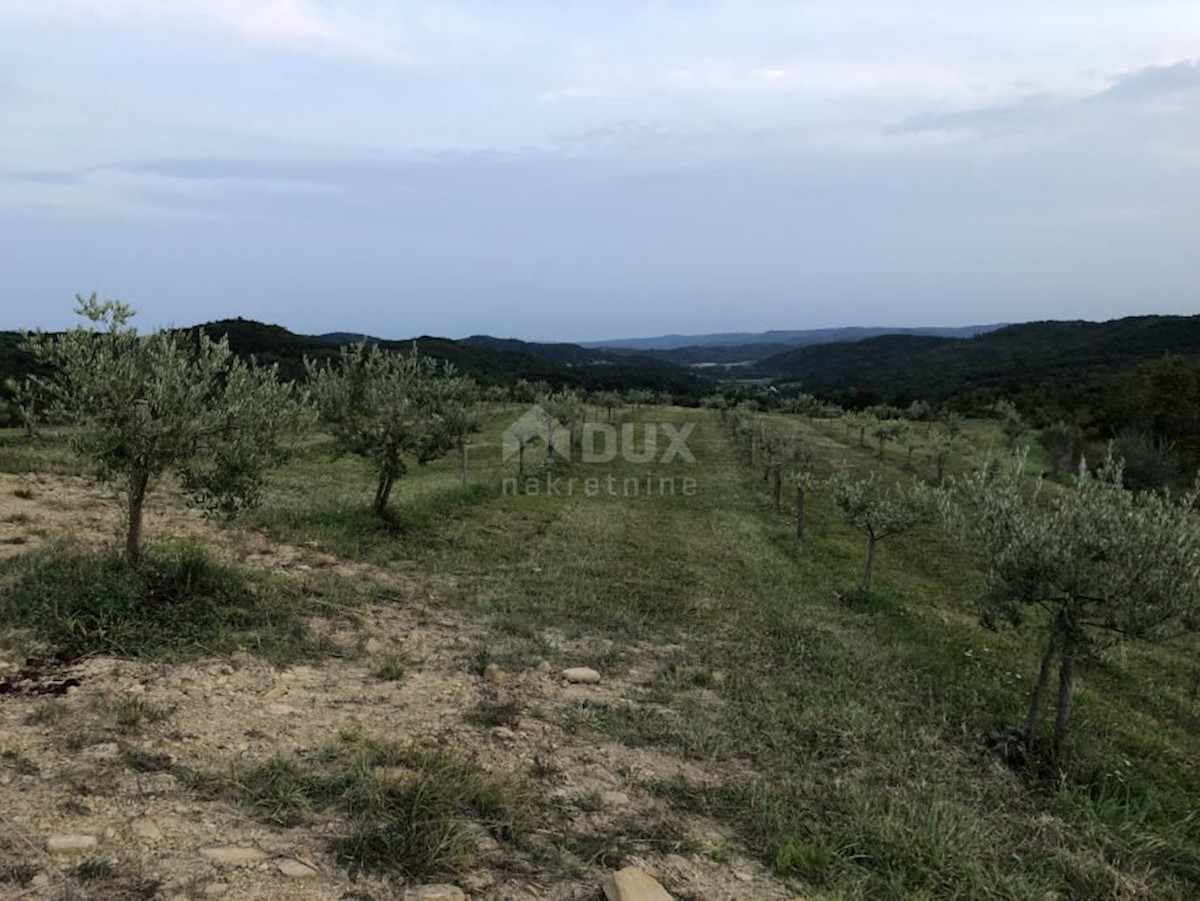 Land For sale - ISTARSKA CEROVLJE