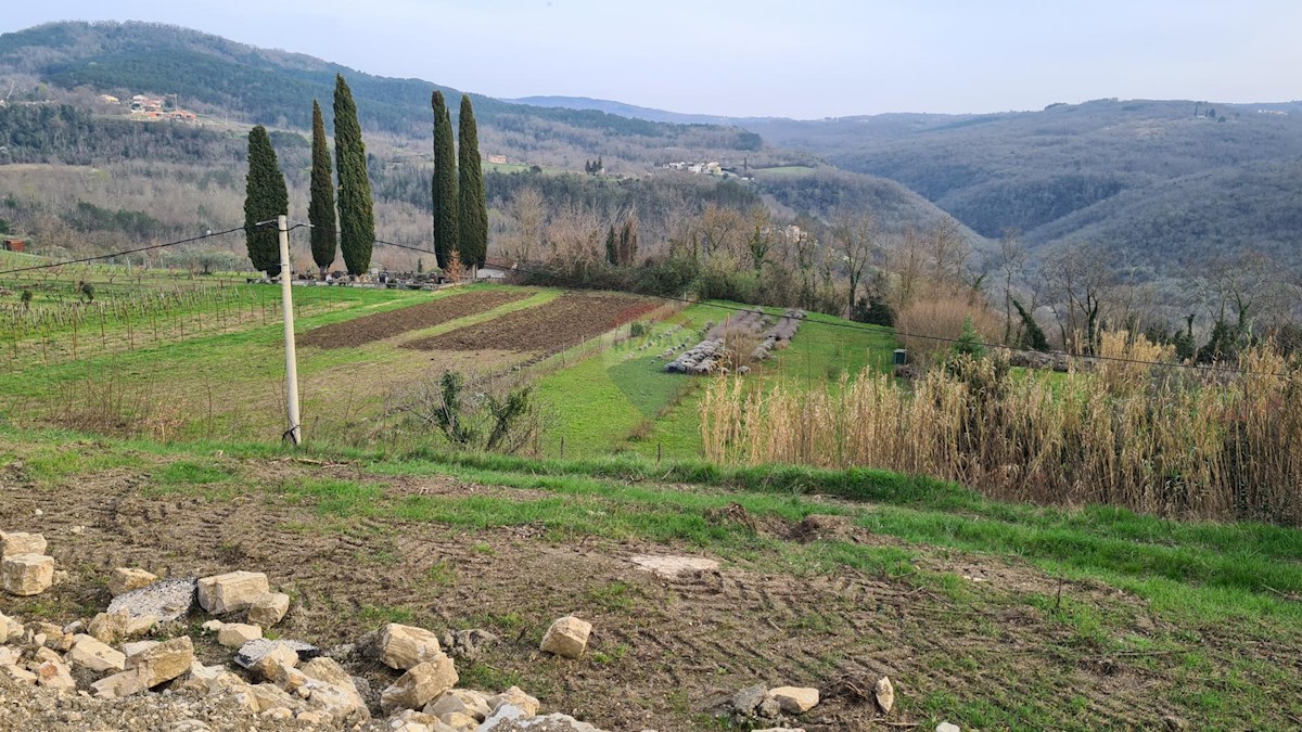 Terrain À vendre - ISTARSKA MOTOVUN