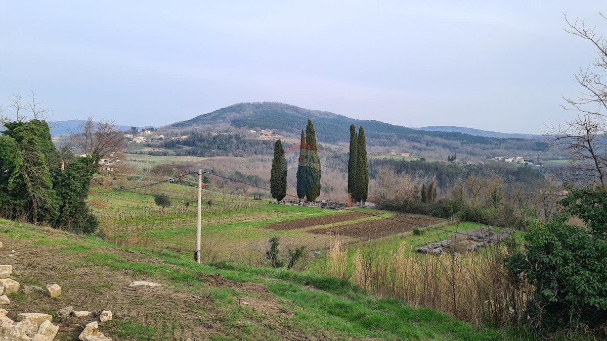 Terrain À vendre - ISTARSKA MOTOVUN
