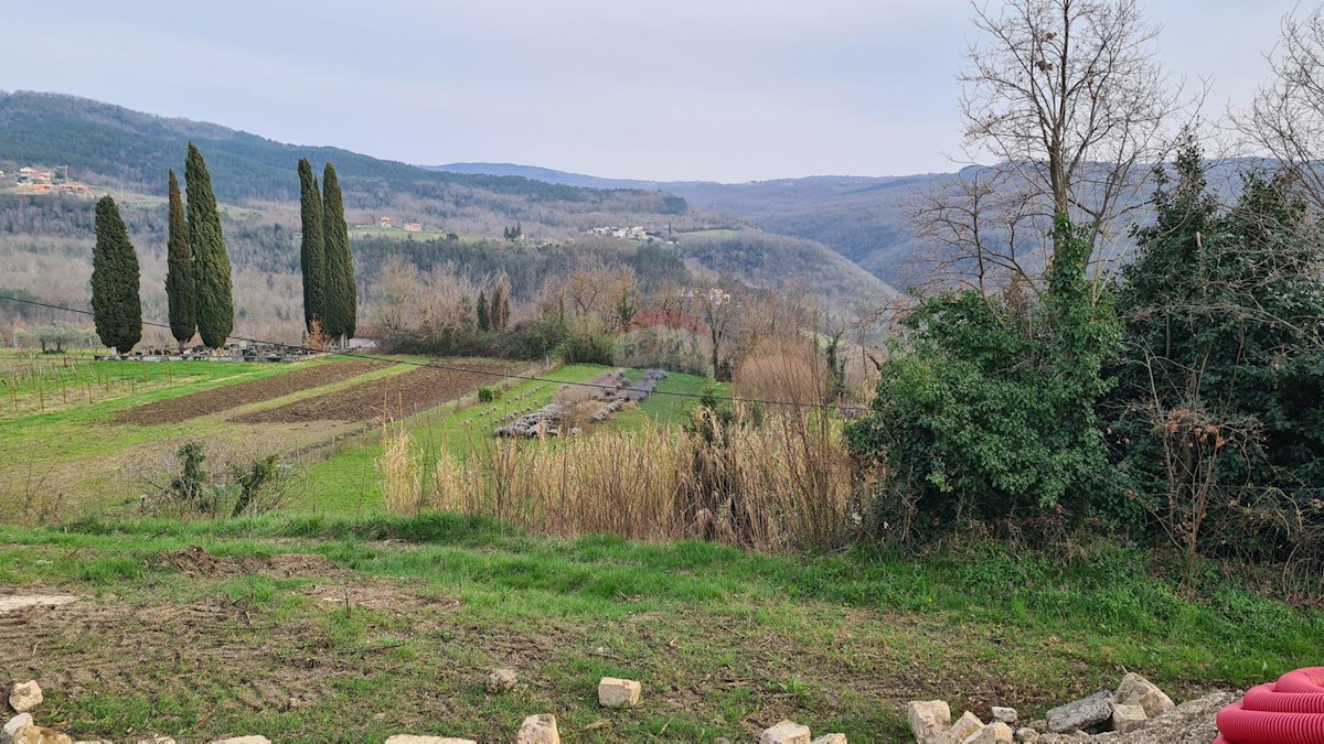Terrain À vendre - ISTARSKA MOTOVUN