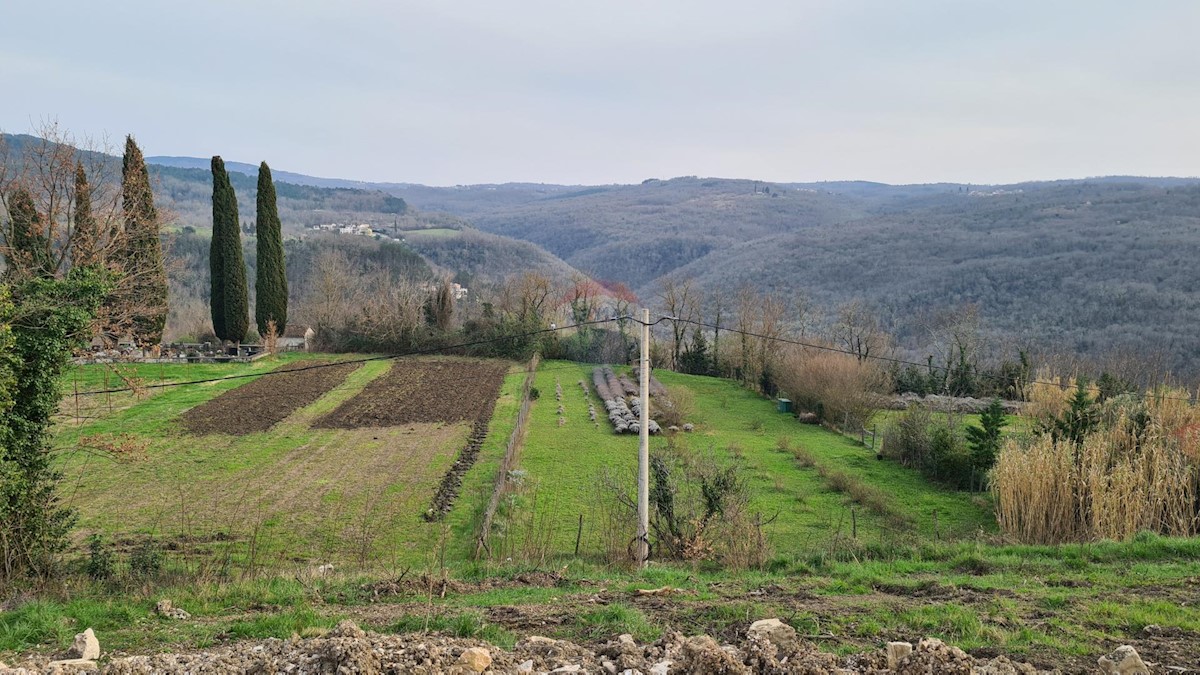 Terrain À vendre - ISTARSKA MOTOVUN