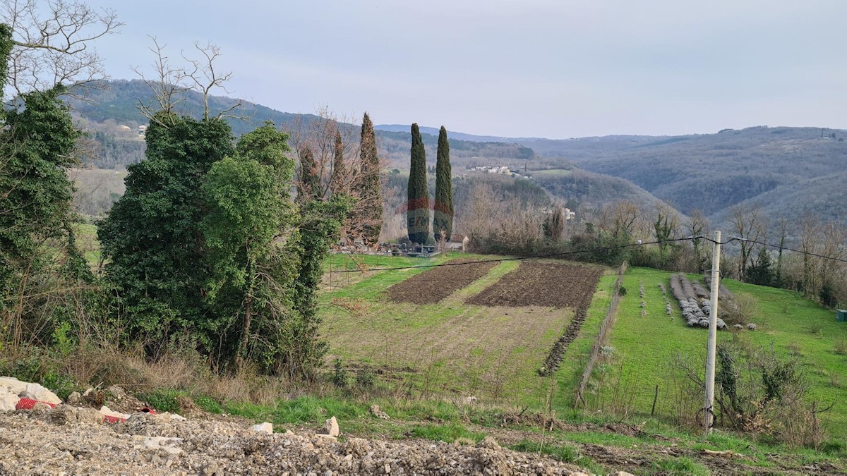 Terrain À vendre - ISTARSKA MOTOVUN