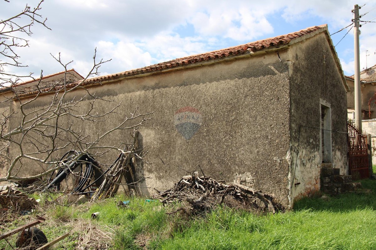 Dom Na predaj - ISTARSKA SVETI LOVREČ