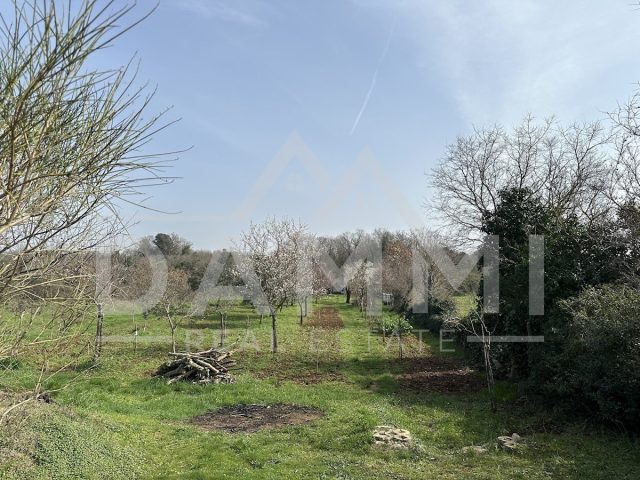 Terrain à vendre 2232 m² – Galižana