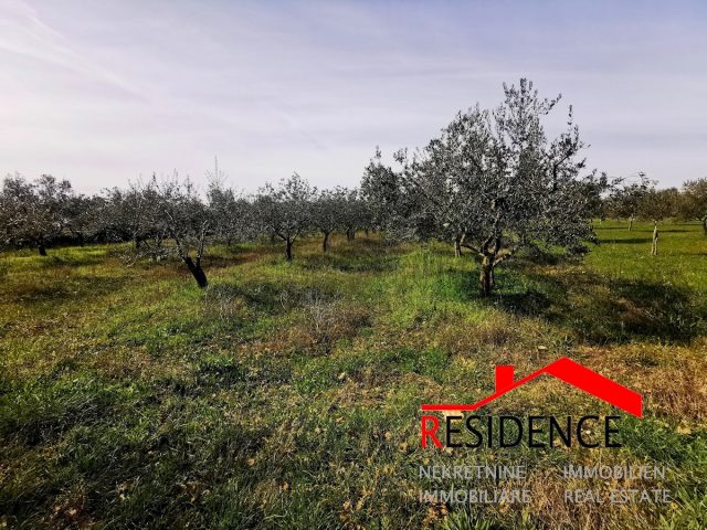Terreno In vendita - Istarska Vodnjan - foto 2/6