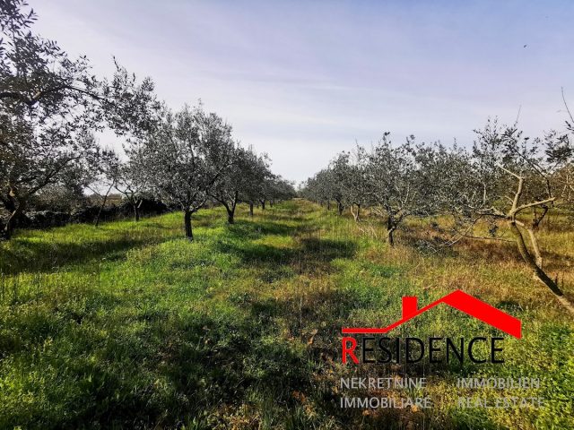 Terreno In vendita - Istarska Vodnjan - foto 4/6
