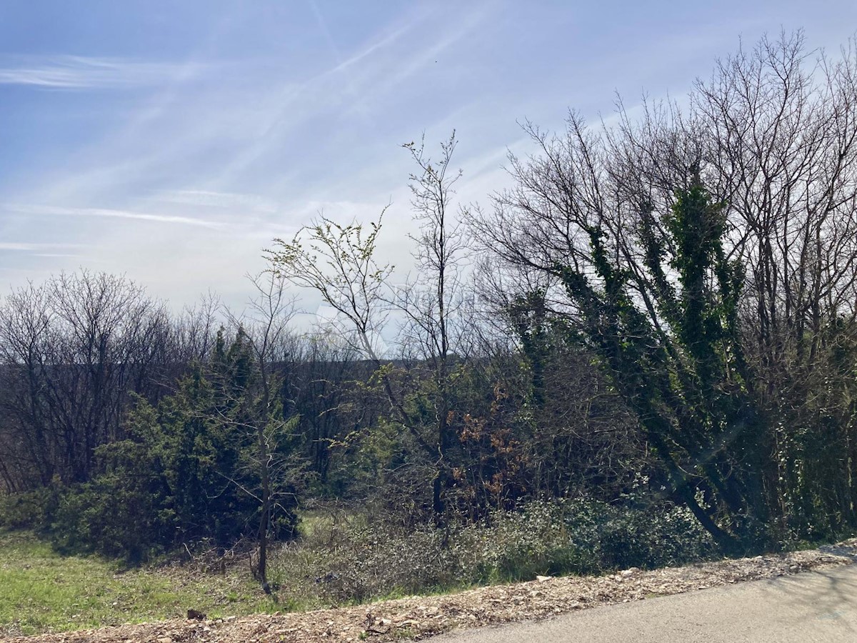 Pozemok Na predaj - ISTARSKA BARBAN
