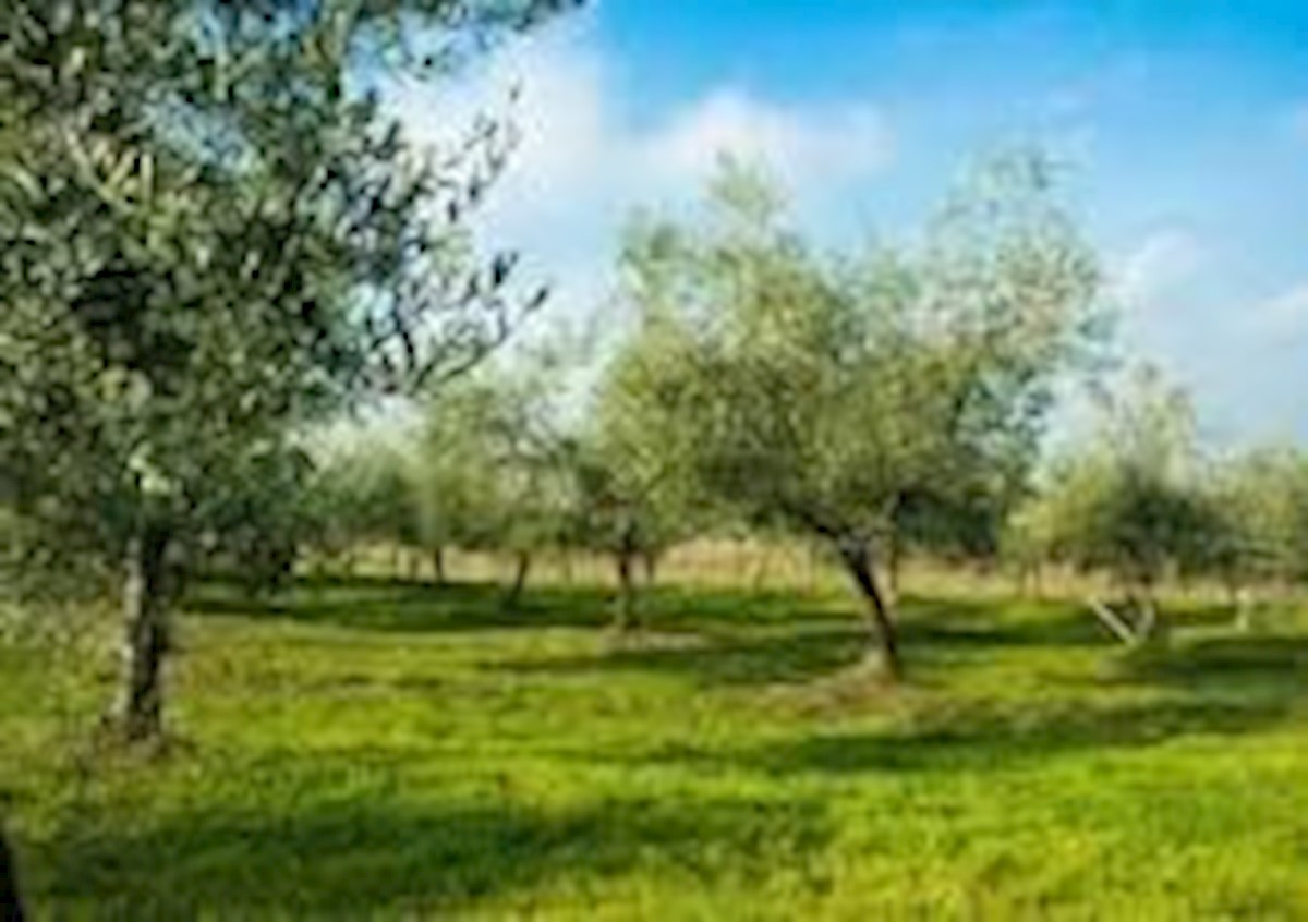 Terreno In vendita - ISTARSKA POREČ