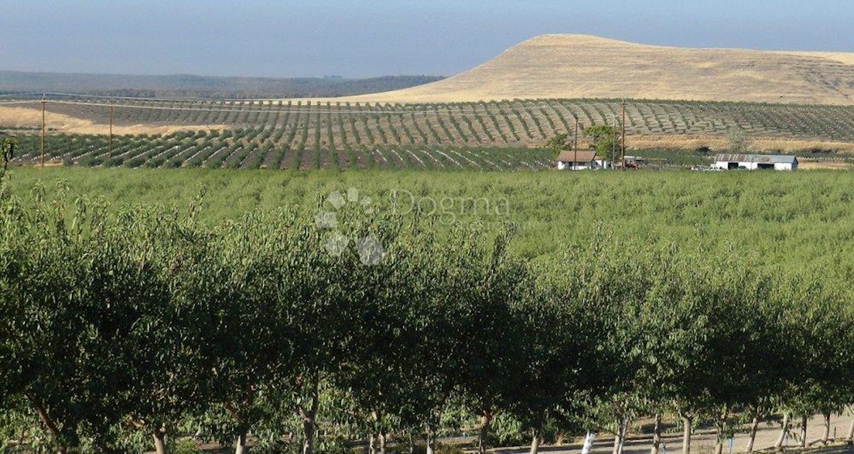 Terreno In vendita - ISTARSKA POREČ