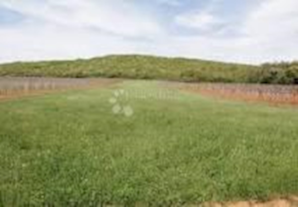 Land For sale - ISTARSKA POREČ