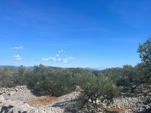 Land for sale 9167 m² – Sevid