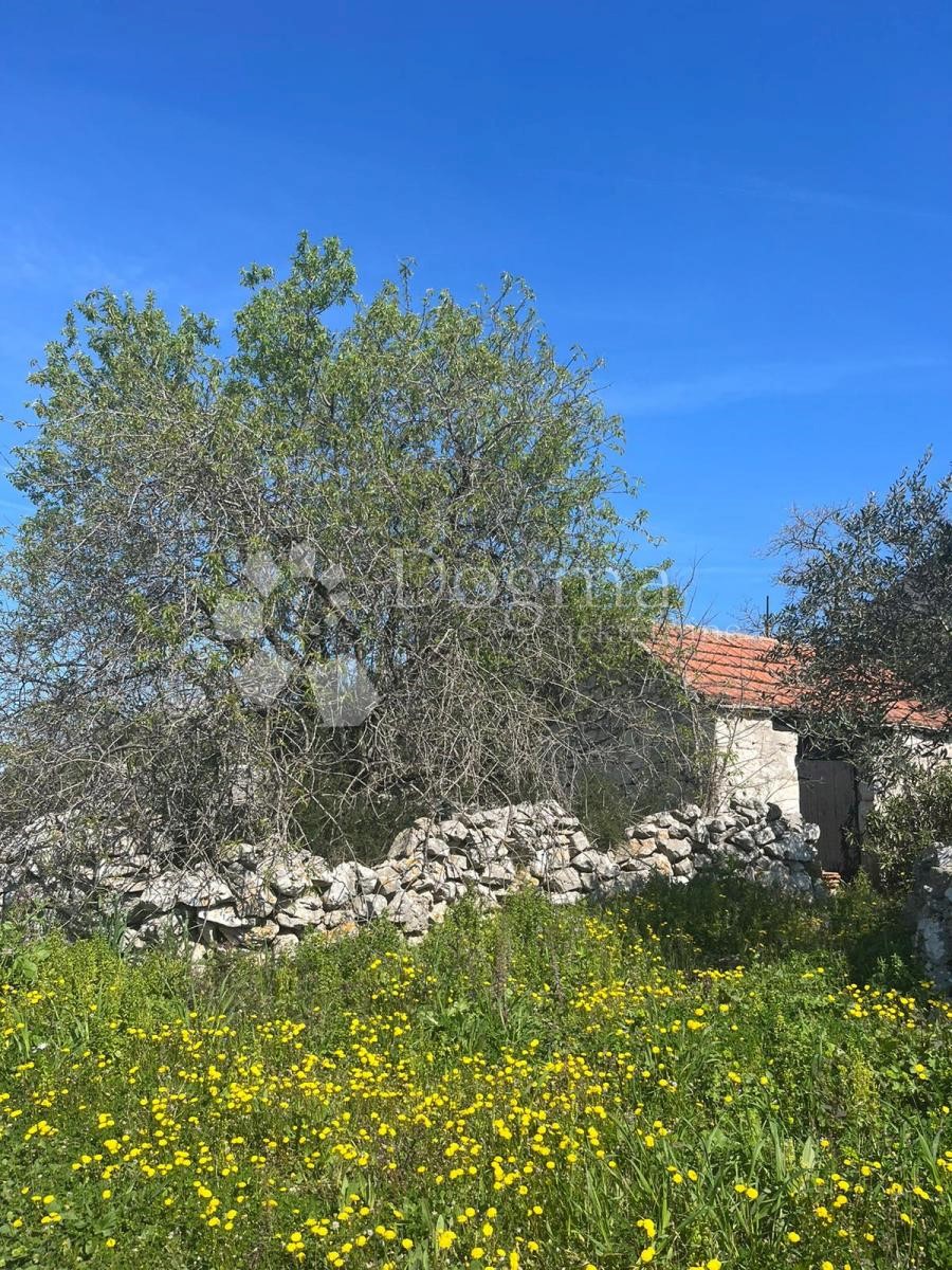 Casa In vendita - ŠIBENSKO-KNINSKA ROGOZNICA