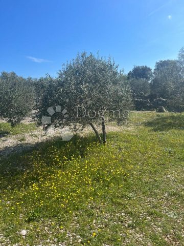 Pozemek na prodej 1070 m² – Dvornica