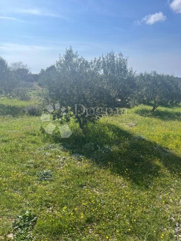 Pozemok Na predaj - šibensko-kninska Rogoznica - foto 2/5
