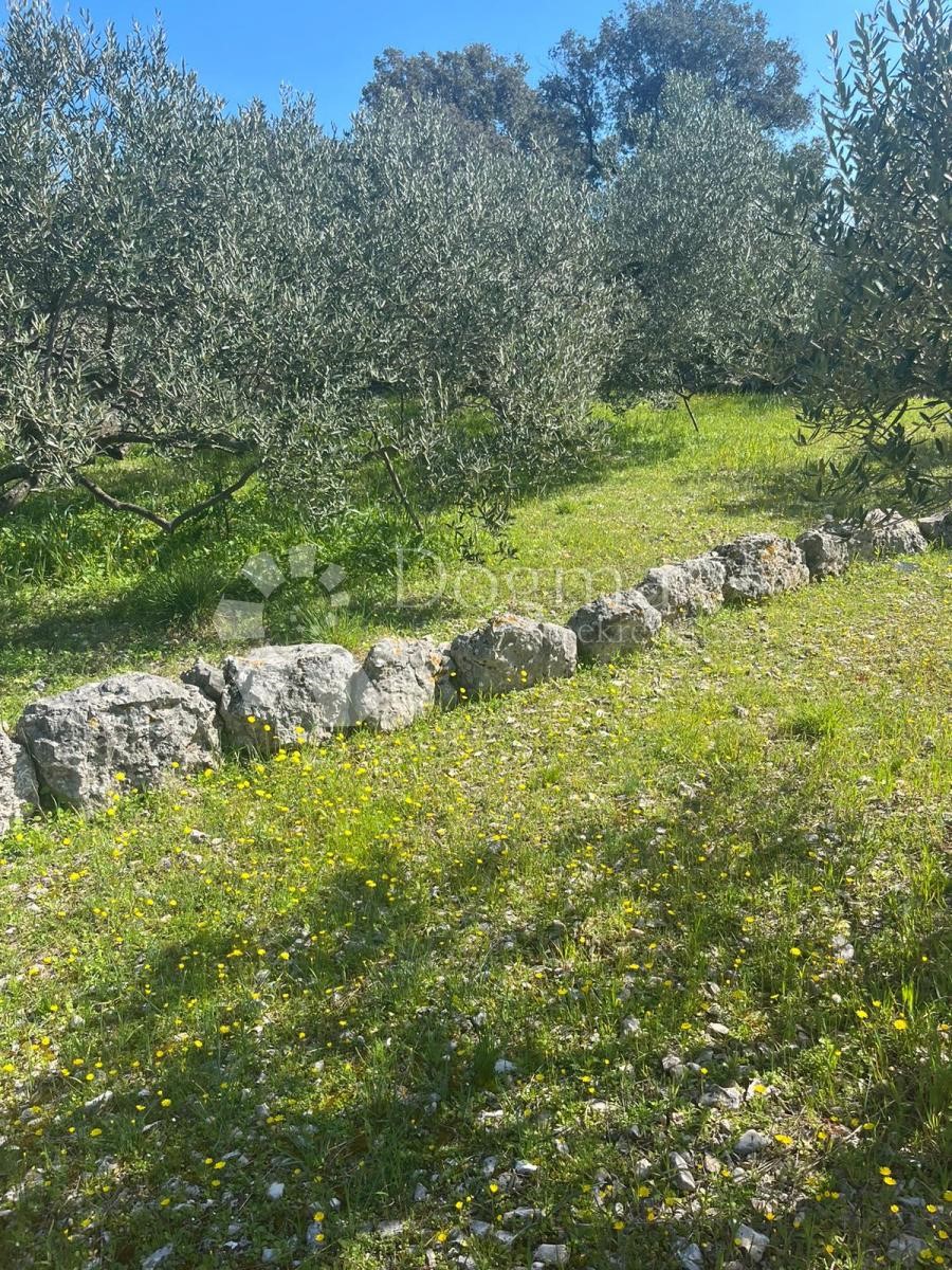 Pozemek Na prodej - ŠIBENSKO-KNINSKA ROGOZNICA