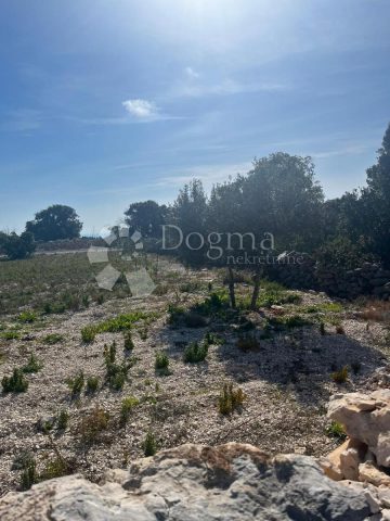 Land for sale 2500 m² – Sevid