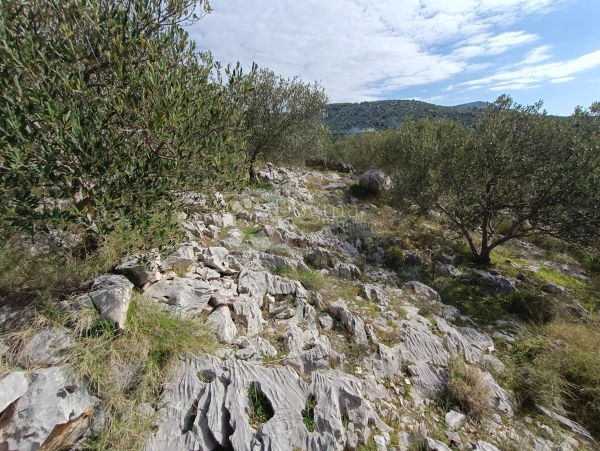 Terreno In vendita - SPLITSKO-DALMATINSKA MARINA