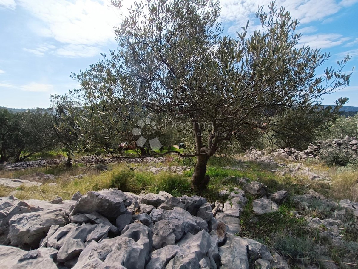 Terreno In vendita - SPLITSKO-DALMATINSKA MARINA