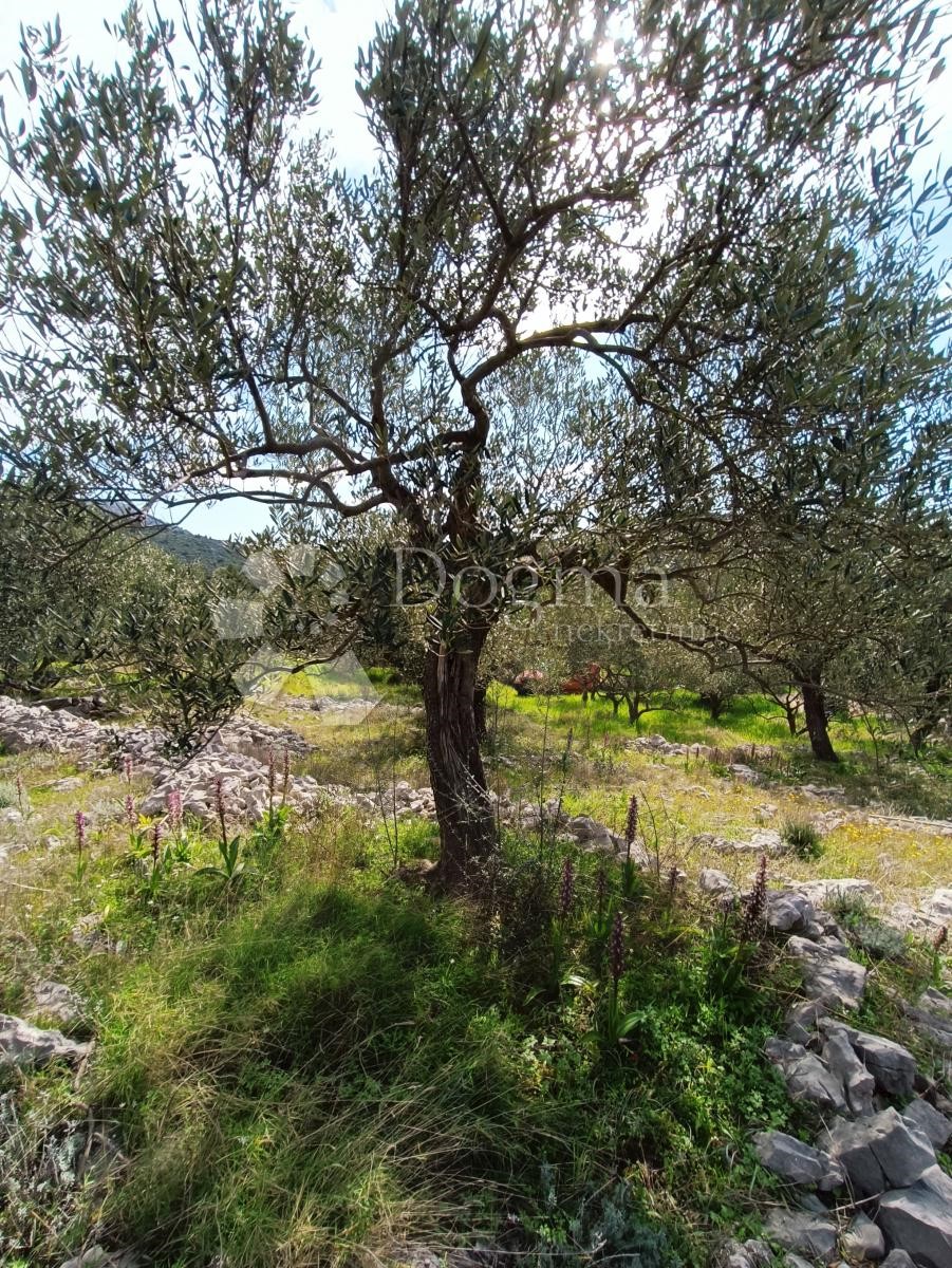 Terreno In vendita - SPLITSKO-DALMATINSKA MARINA