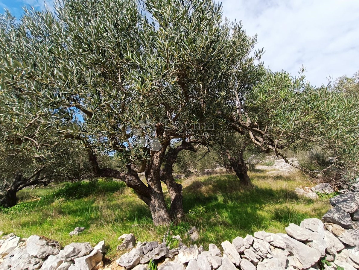 Terreno In vendita - SPLITSKO-DALMATINSKA MARINA