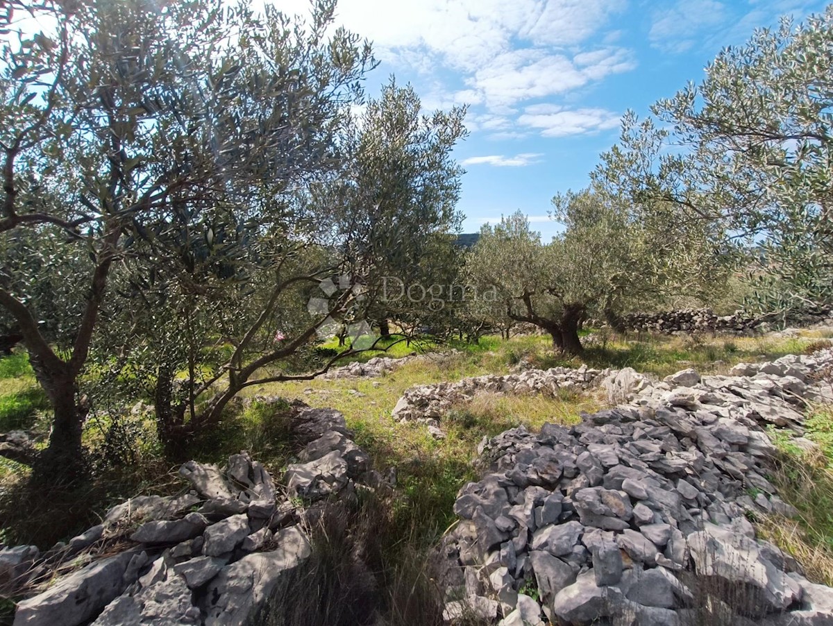 Terreno In vendita - SPLITSKO-DALMATINSKA MARINA