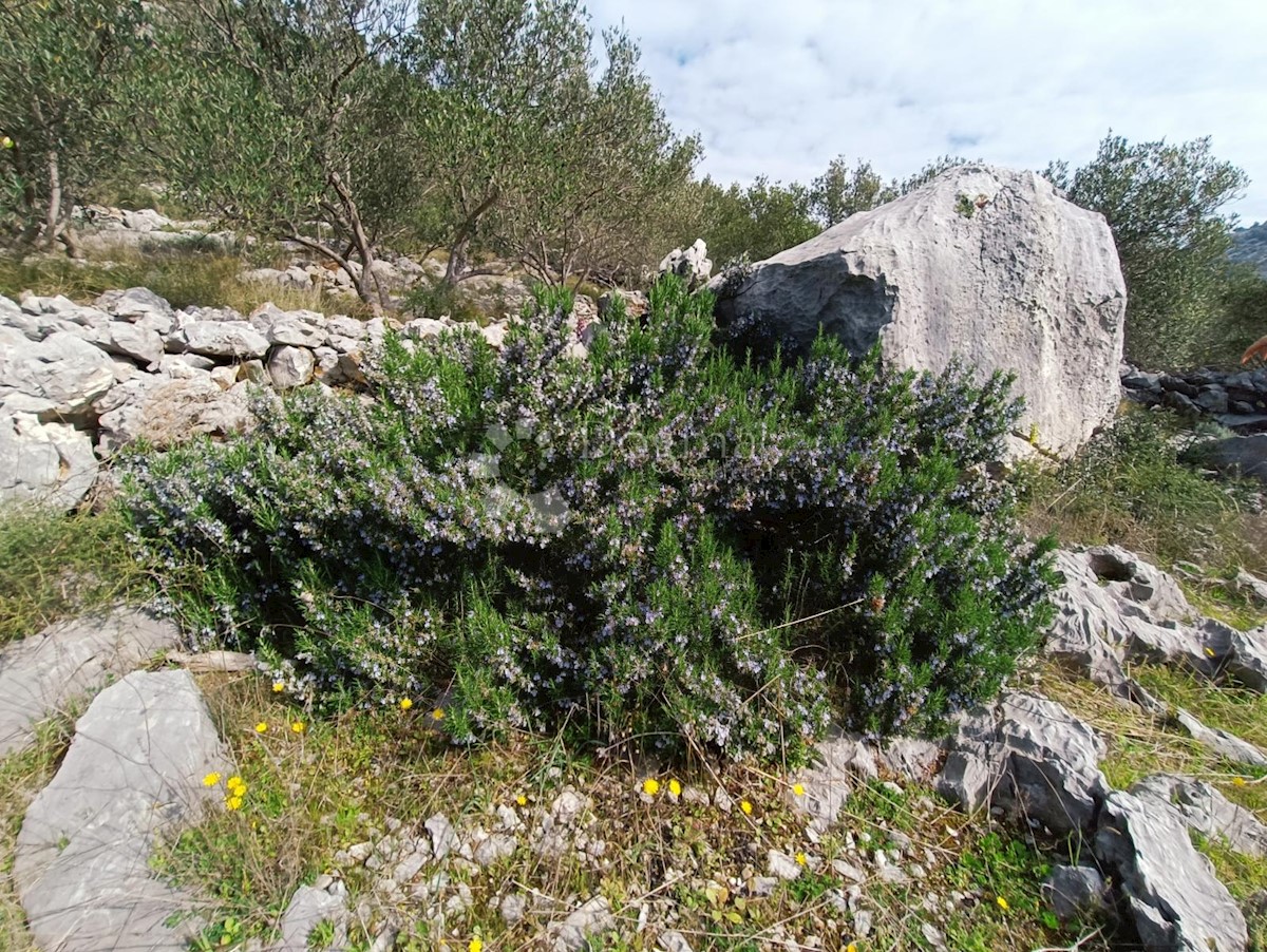 Terreno In vendita - SPLITSKO-DALMATINSKA MARINA