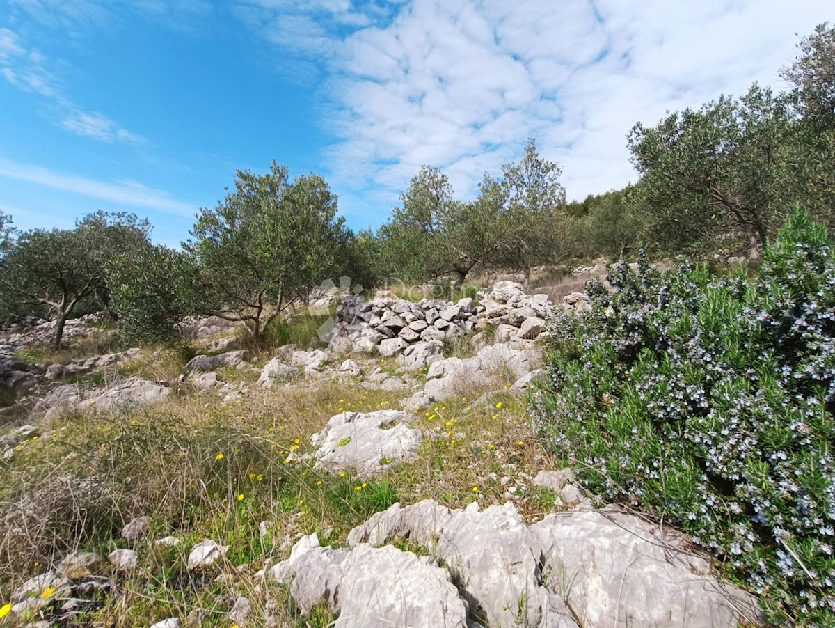 Terreno In vendita - SPLITSKO-DALMATINSKA MARINA