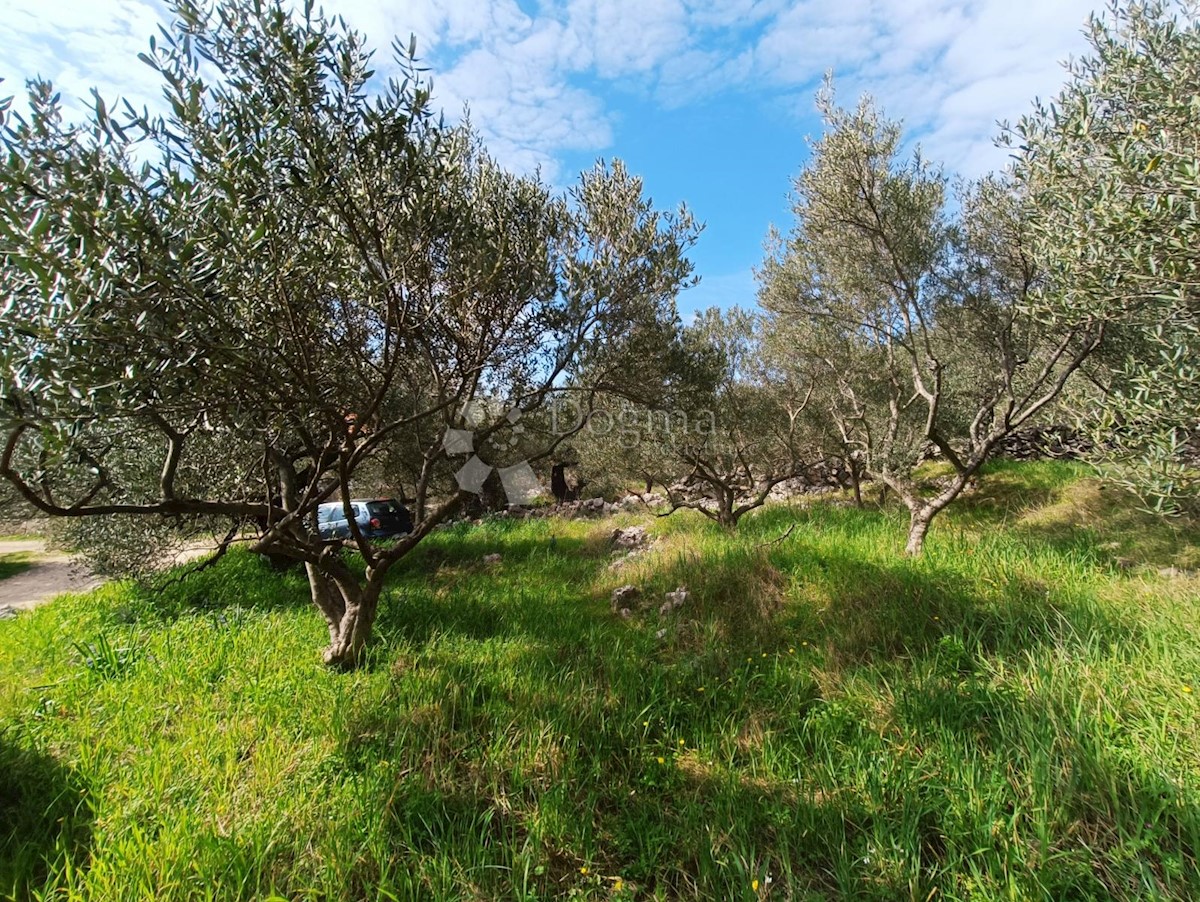 Terreno In vendita - SPLITSKO-DALMATINSKA MARINA