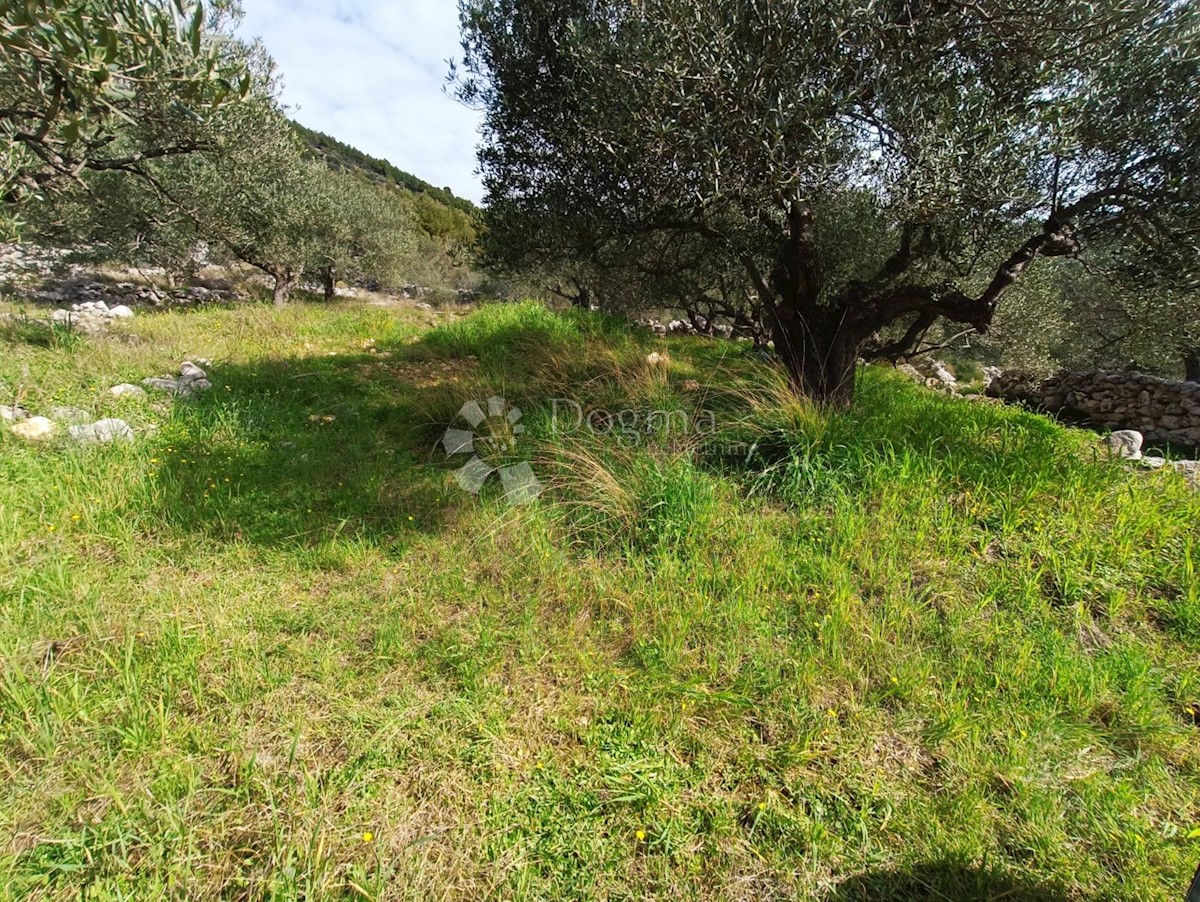 Terreno In vendita - SPLITSKO-DALMATINSKA MARINA