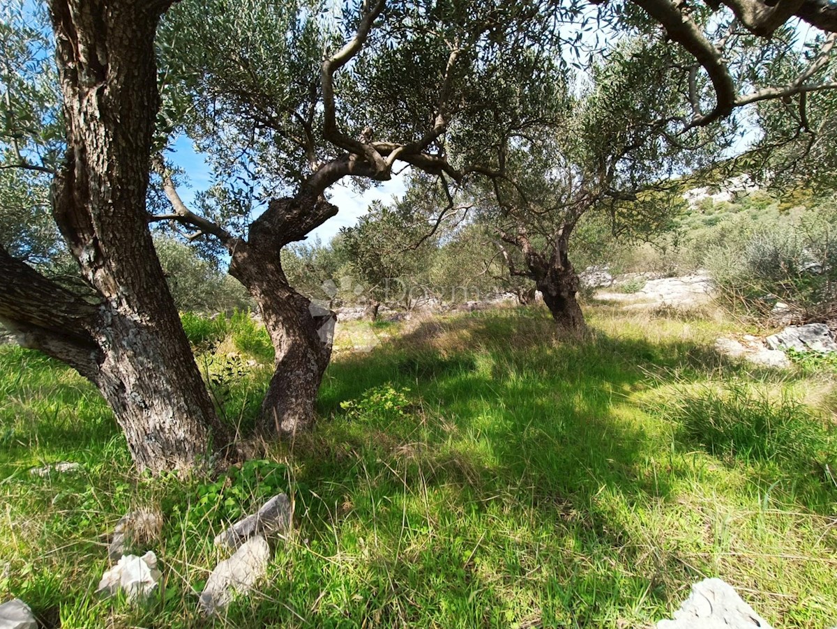 Terreno In vendita - SPLITSKO-DALMATINSKA MARINA