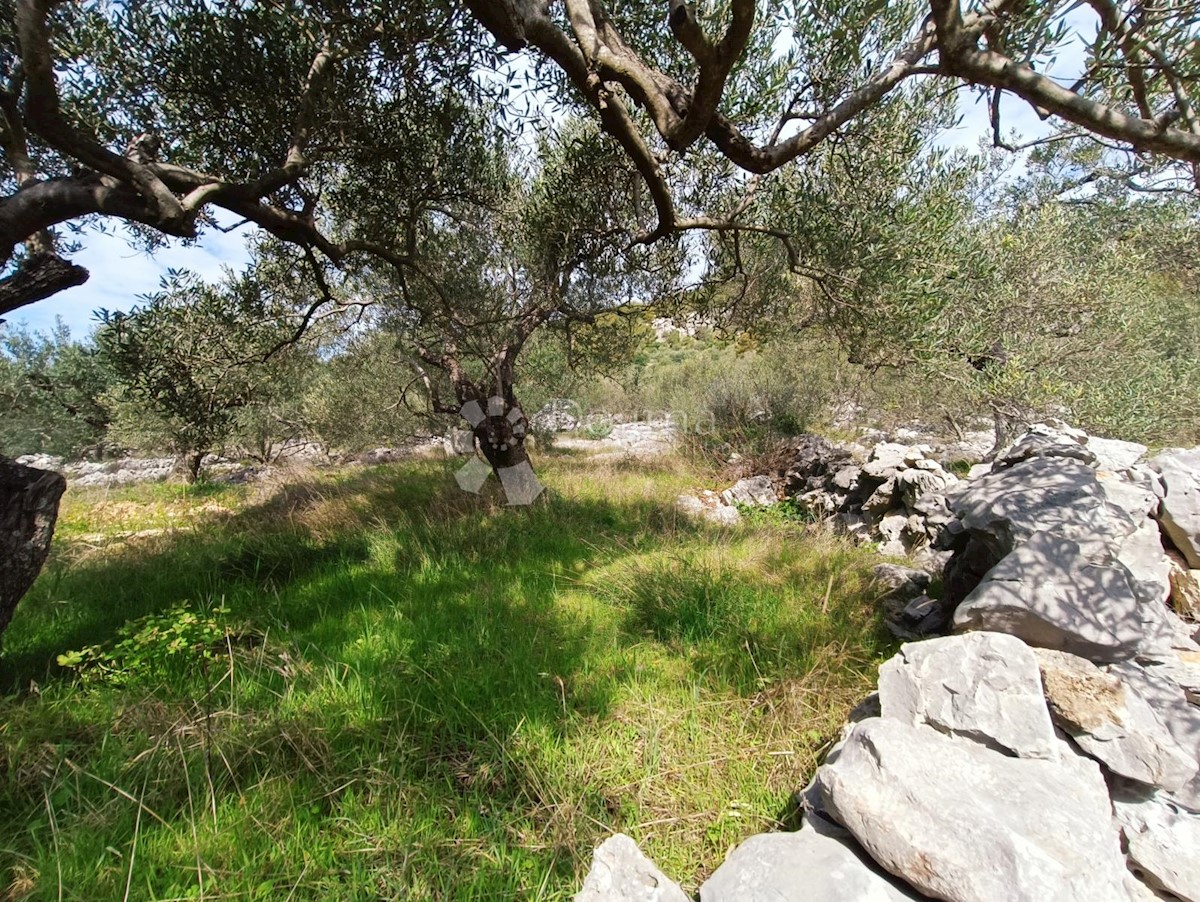 Terreno In vendita - SPLITSKO-DALMATINSKA MARINA