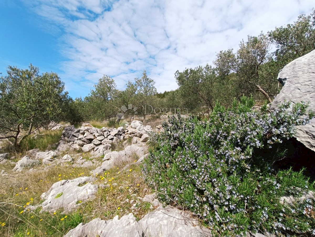 Terreno In vendita - SPLITSKO-DALMATINSKA MARINA