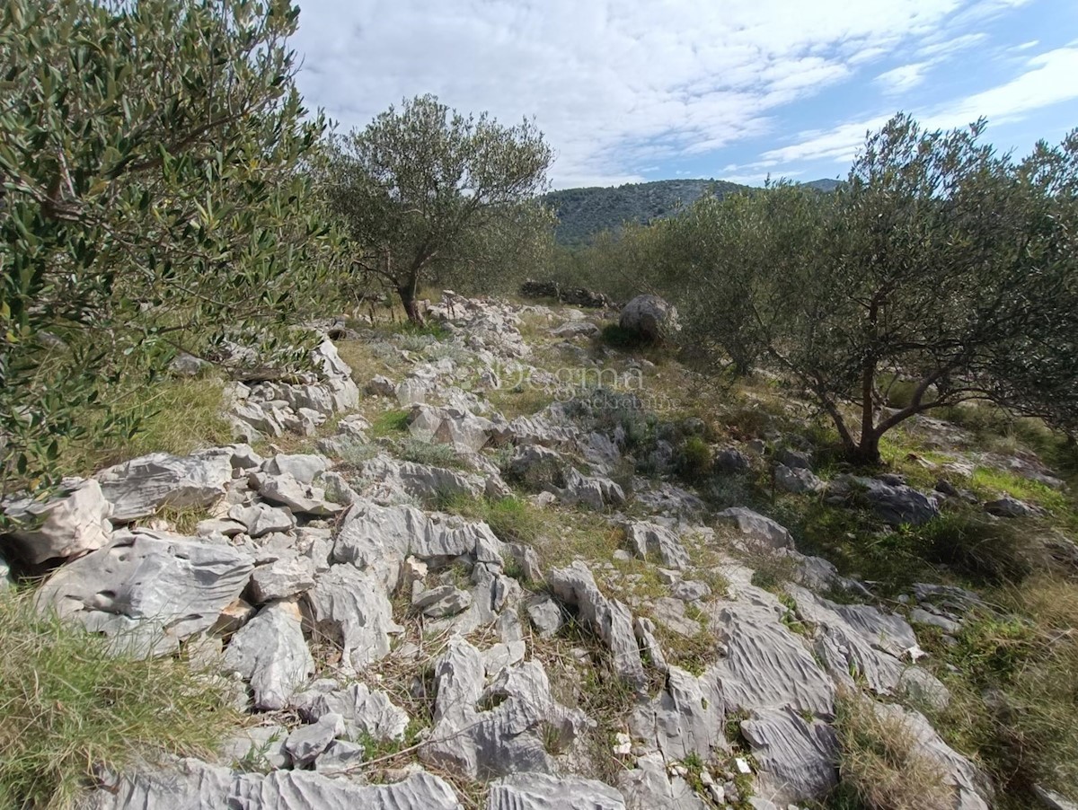 Terreno In vendita - SPLITSKO-DALMATINSKA MARINA