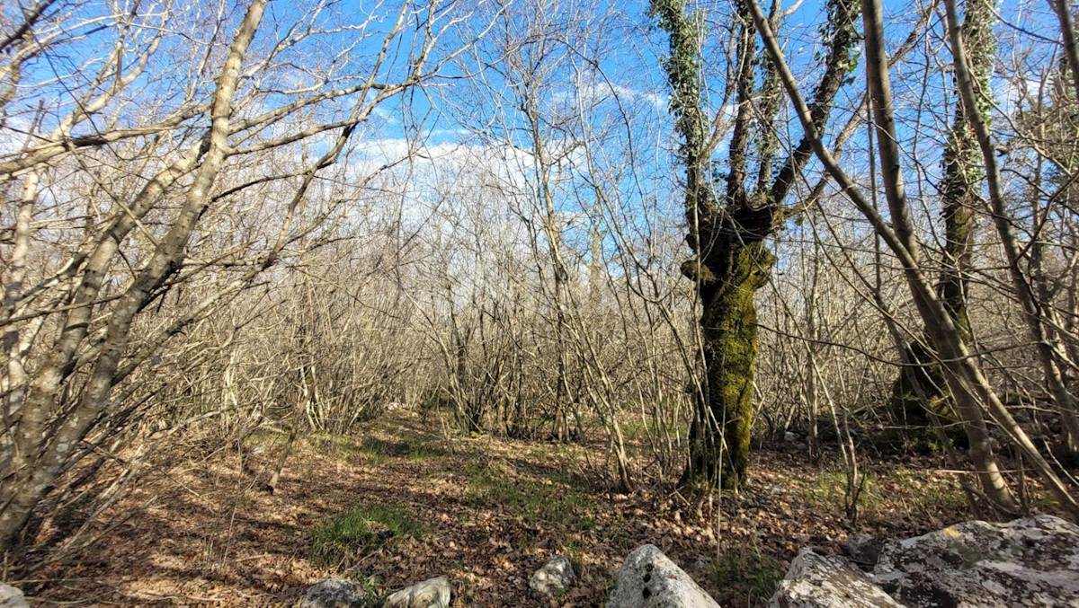 Terreno In vendita - Primorsko-goranska Krk - foto 1/5