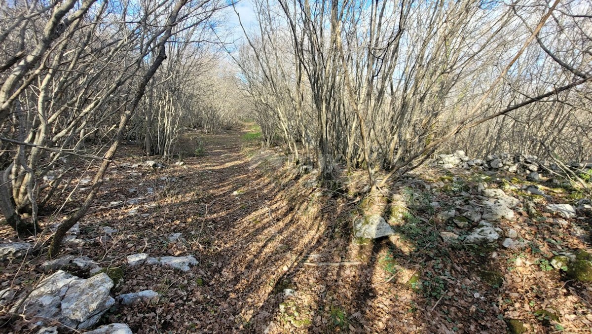 Terreno In vendita - Primorsko-goranska Krk - foto 4/5