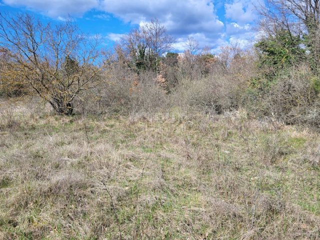 Terrain À vendre - Istarska Svetvinčenat - foto 3/3