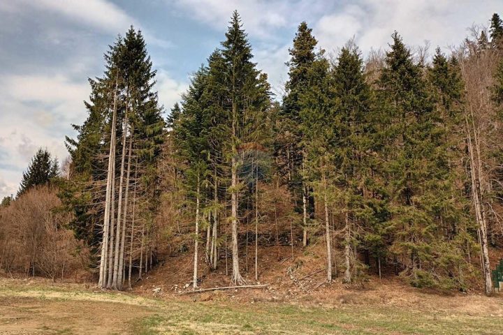 Grundstück zu verkaufen 825 m² – Fužine
