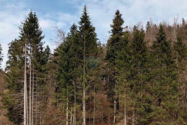 Terreno In vendita - Primorsko-goranska Fužine - foto 5/5