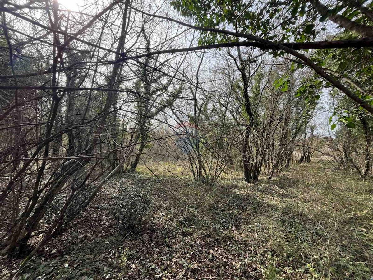 Land For sale - ISTARSKA TINJAN